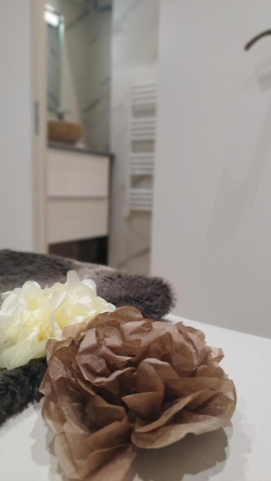 Appartement Lumineux En Rdc Bourgoin-Jallieu Zewnętrze zdjęcie