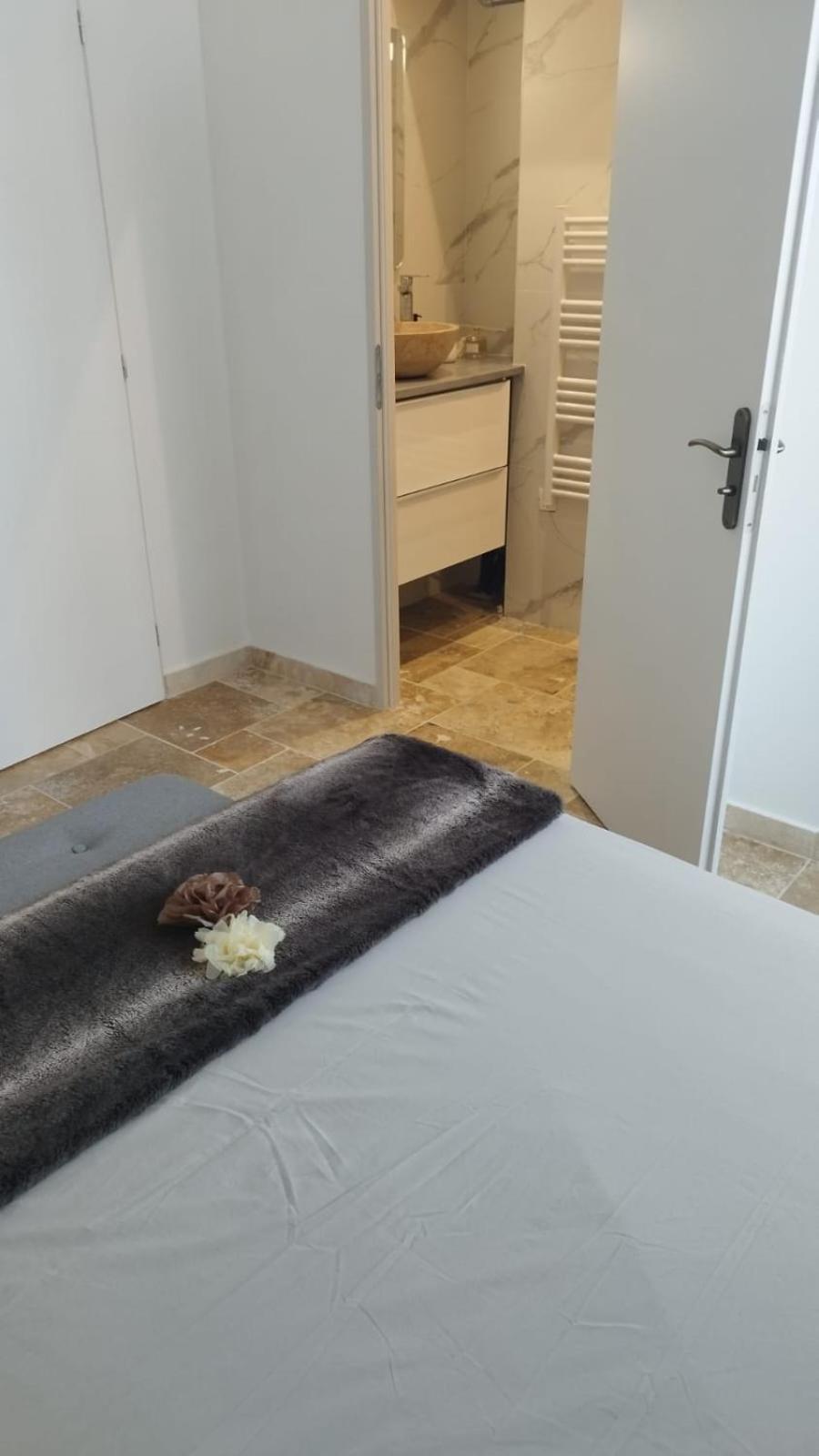 Appartement Lumineux En Rdc Bourgoin-Jallieu Zewnętrze zdjęcie